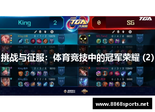 挑战与征服：体育竞技中的冠军荣耀 (2)