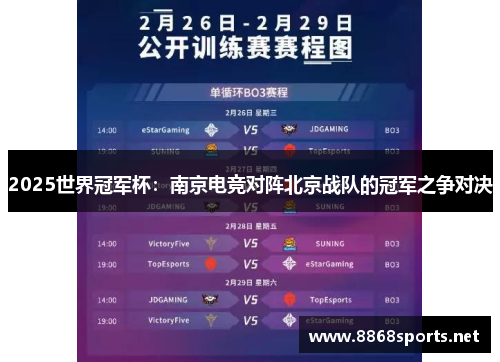 2025世界冠军杯：南京电竞对阵北京战队的冠军之争对决
